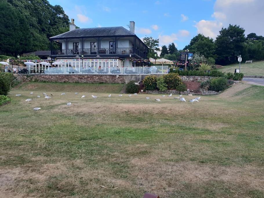 Beach Retreat Village Centre Location Shaldon Esterno foto