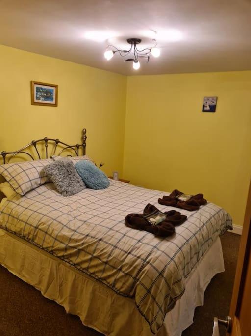 Beach Retreat Village Centre Location Shaldon Esterno foto